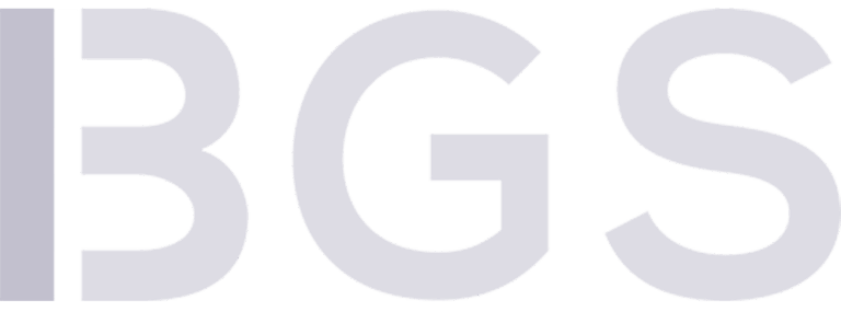 BGS: Discover what Beroni Global Solution can do for you | Beroni