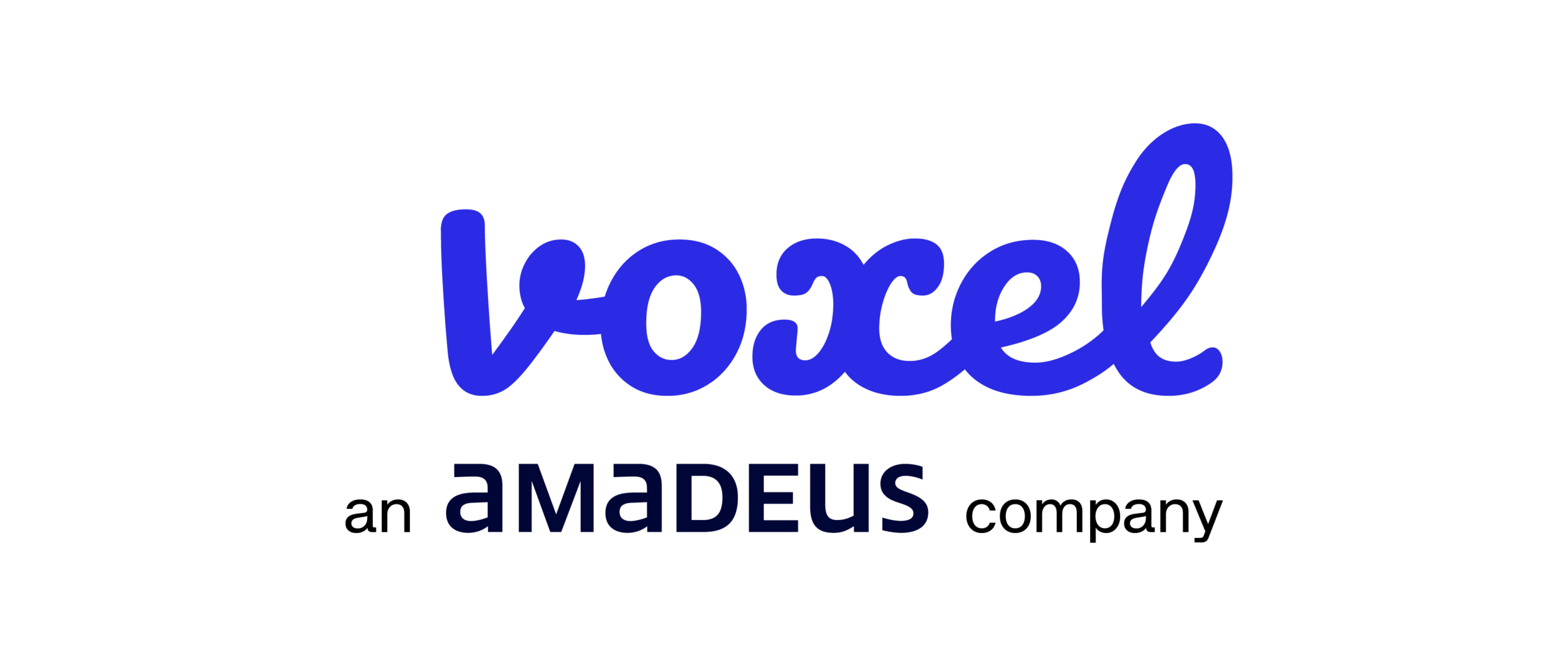 voxel-Logo